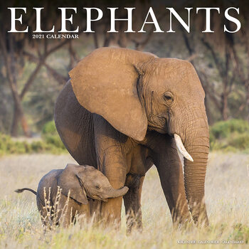 Kalenteri 2027 Elephants