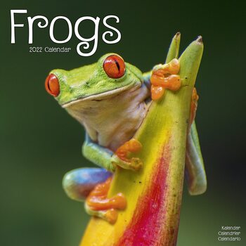 Kalenteri 2027 Frogs