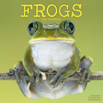 Kalenteri 2027 Frogs