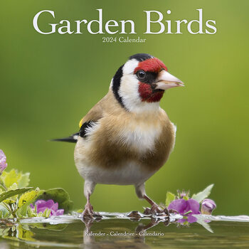 Kalenteri 2024 Garden Birds
