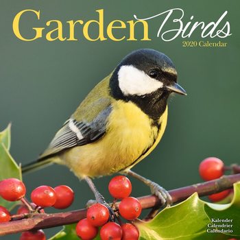 Kalenteri 2020  Garden Birds