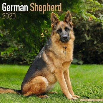 Kalenteri 2027 German Shepherd