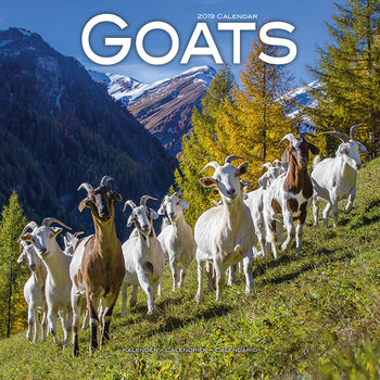 Kalenteri 2027 Goats