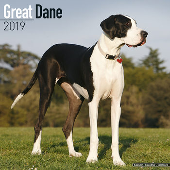 Kalenteri 2027 Great Dane