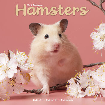 Kalenteri 2027 Hamsters