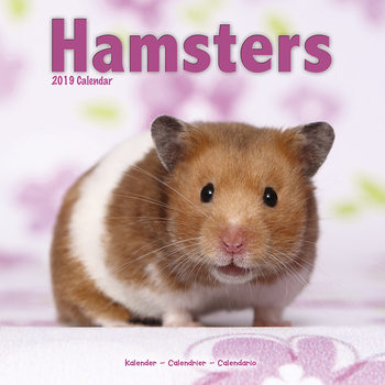Kalenteri 2027 Hamsters