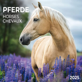 Kalenteri 2027 Horses