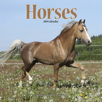 Kalenteri 2027 Horses