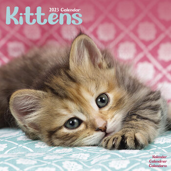 Kalenteri 2027 Kittens