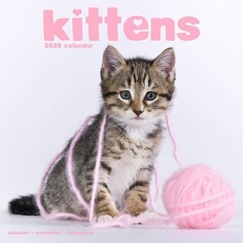 Kalenteri 2027 Kittens
