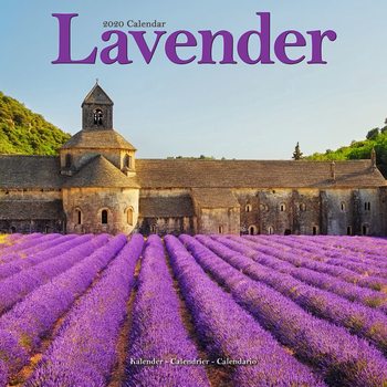 Kalenteri 2027 Lavender