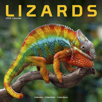 Kalenteri 2027 Lizards