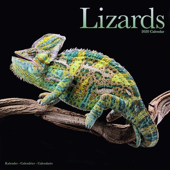 Kalenteri 2027 Lizards