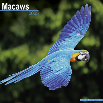 Kalenteri 2027 Macaws