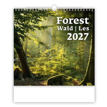 Kalenteri 2027 Metsä