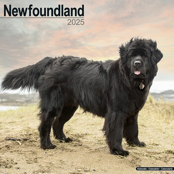 Kalenteri 2027 Newfoundland