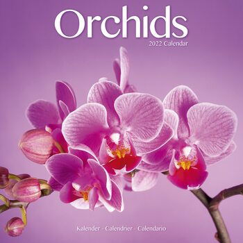Kalenteri 2027 Orchids