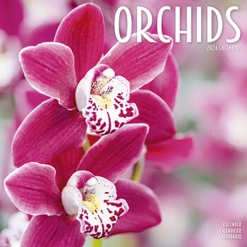 Kalenteri 2027 Orchids