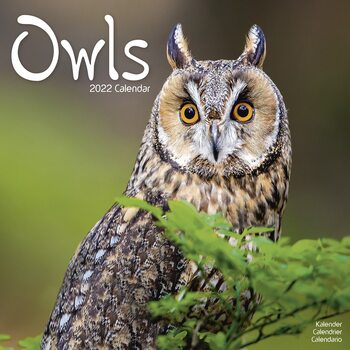 Kalenteri 2027 Owls