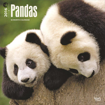 Kalenteri 2027 Panda