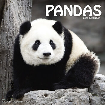 Kalenteri 2023 Pandas