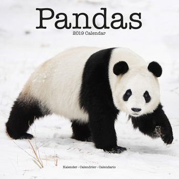 Kalenteri 2027 Pandas