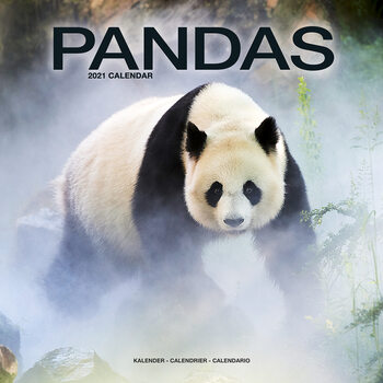 Kalenteri 2027 Pandas