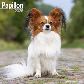 Kalenteri 2027 Papillon