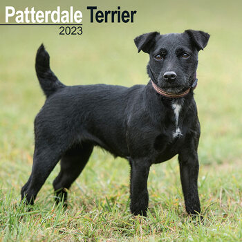 Kalenteri 2023 Patterdale Terrier