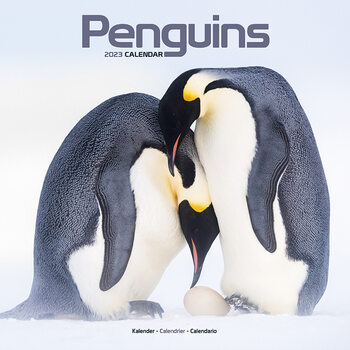 Kalenteri 2027 Penguins