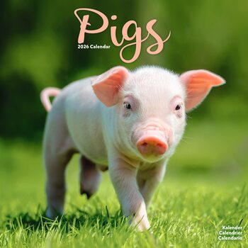 Kalenteri 2027 Pigs