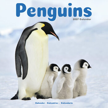 Kalenteri 2027 Pingviinit