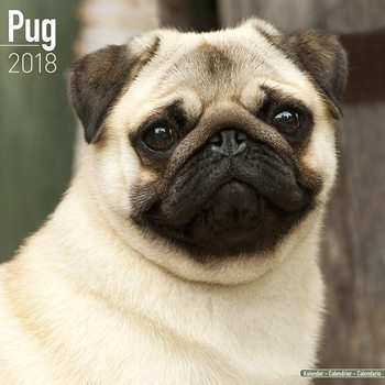 Kalenteri 2027 Pug