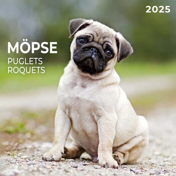 Kalenteri 2027 Puglets