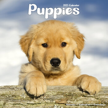 Kalenteri 2027 Puppies