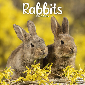 Kalenteri 2024 Rabbits
