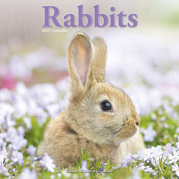 Kalenteri 2027 Rabbits