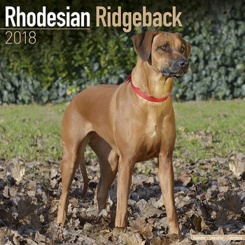 Kalenteri 2027 Rhodesian Ridgeback