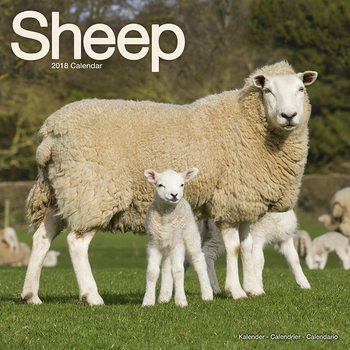 Kalenteri 2027 Sheep
