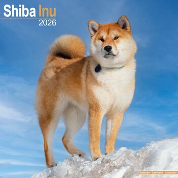 Kalenteri 2026 Shiba Inu