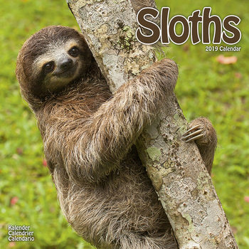 Kalenteri 2027 Sloths