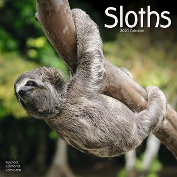 Kalenteri 2027 Sloths