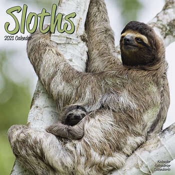 Kalenteri 2027 Sloths