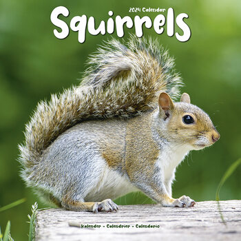 Kalenteri 2024 Squirrels