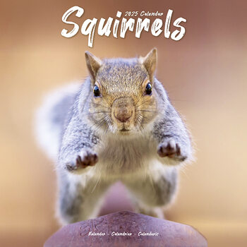 Kalenteri 2027 Squirrels