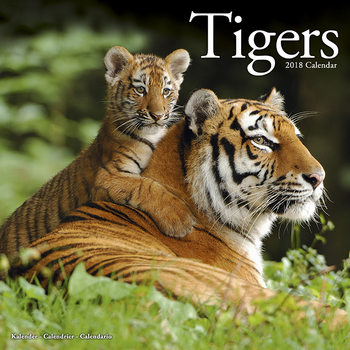 Kalenteri 2027 Tigers