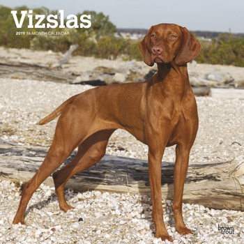 Kalenteri 2027 Unkarinvizsla