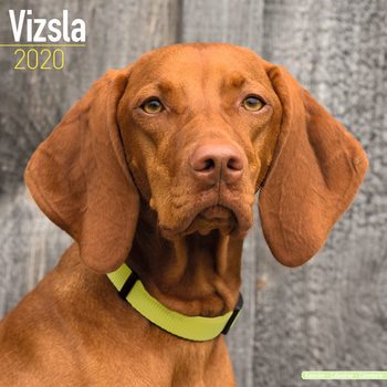 Kalenteri 2027 Vizsla