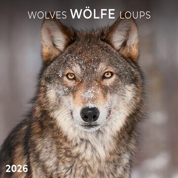 Kalenteri 2027 Wolves