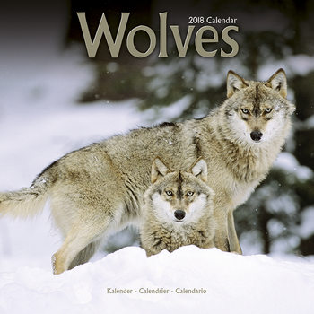 Kalenteri 2027 Wolves